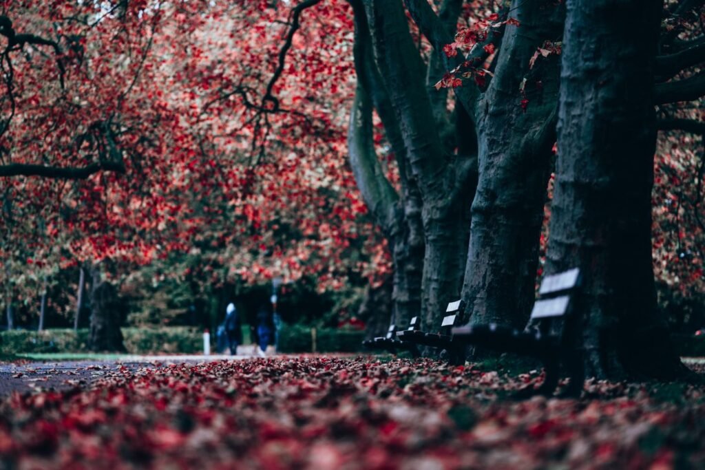 Het Engelse Werk, van vestingwerk tot park